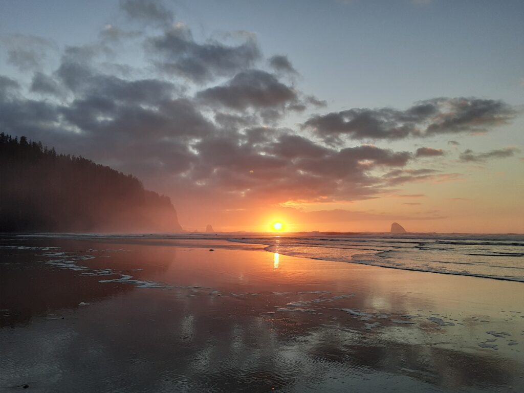 Beach scenes Wendy Burroughs